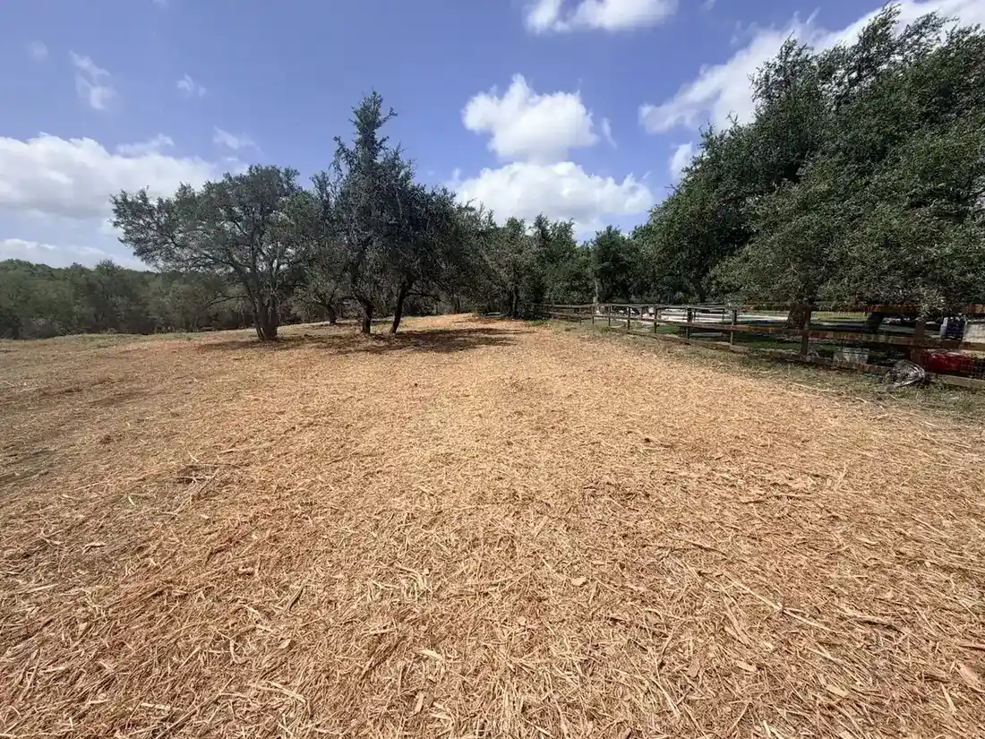 Driftwood — Oak Preservation