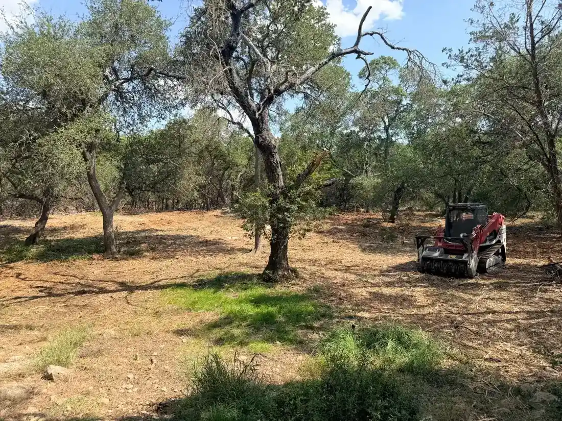After — Cleared Oak Grove - Driftwood, TX