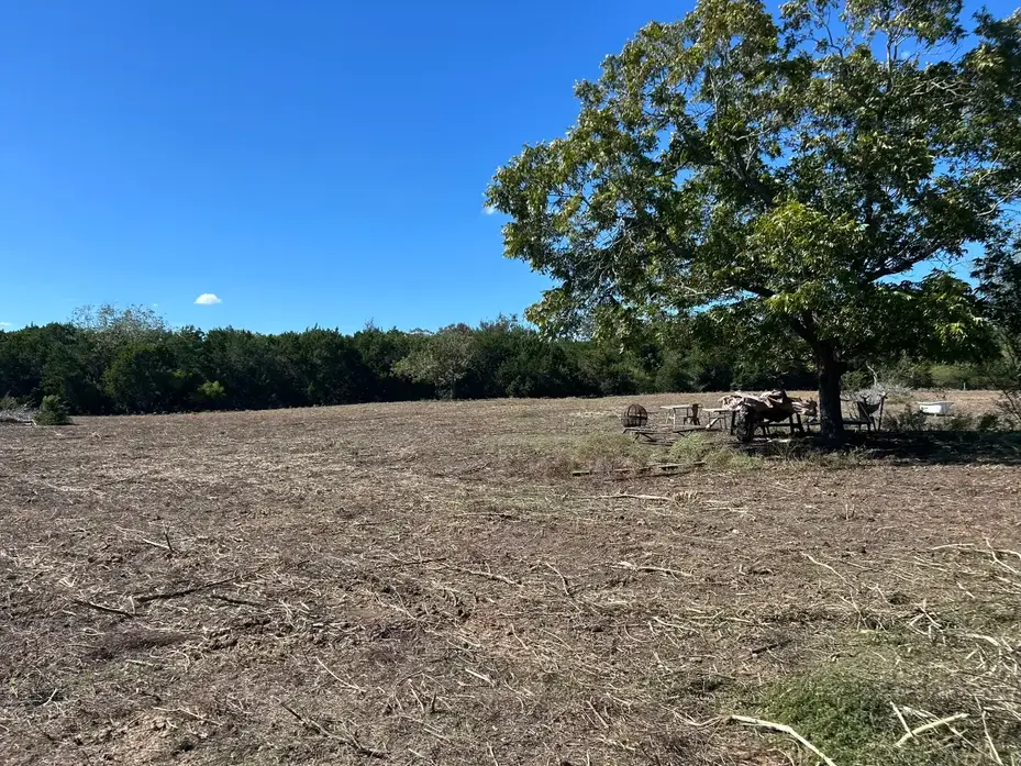 Freshly brush-hogged pasture around a large live oak in Oak Hill, Austin TX