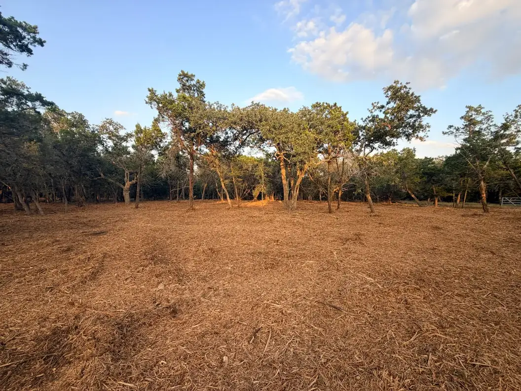 Oak stand on freshly mulched ground