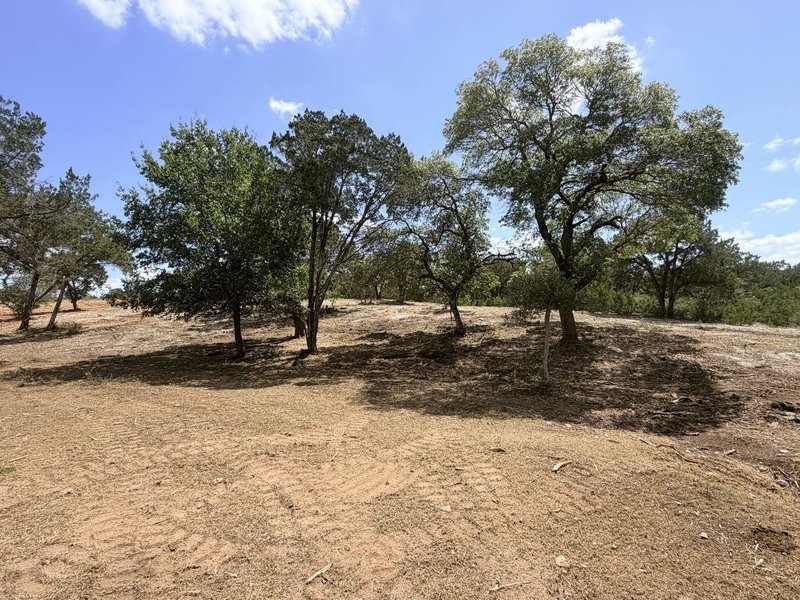After — Open Oak Pasture - Wimberley, TX
