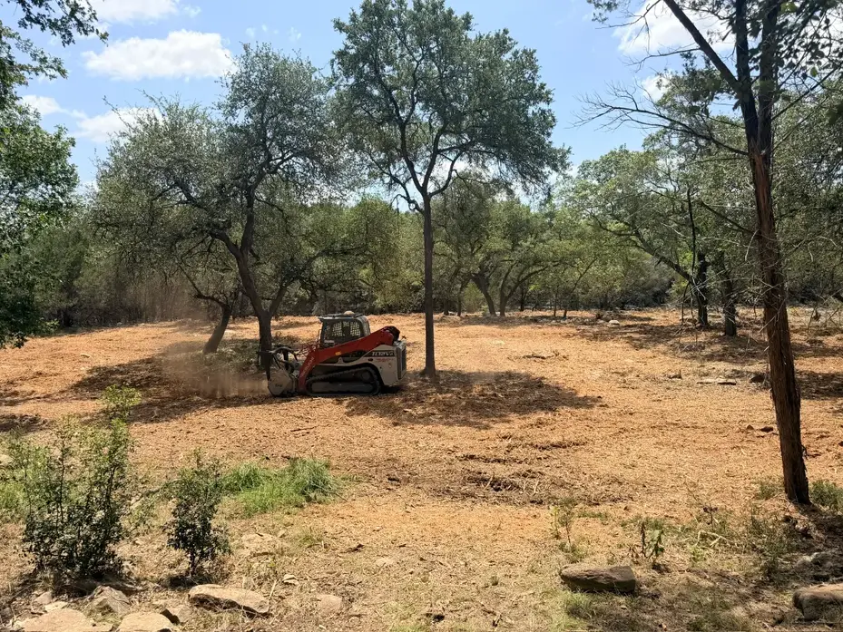 Tracked mulcher working under live oaks