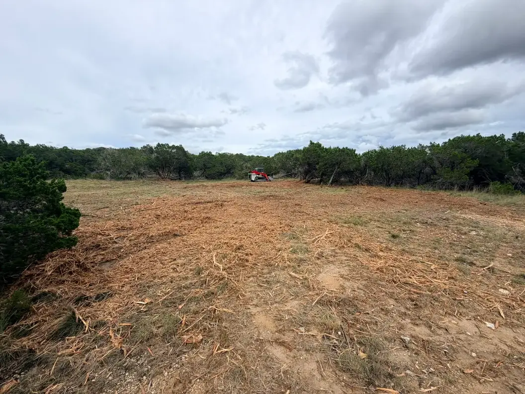 Gently rolling pasture edge cleared of brush