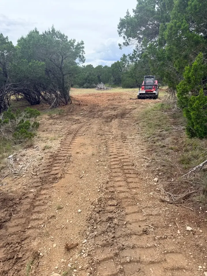 Mulched trail through brush with the mulcher in the distance