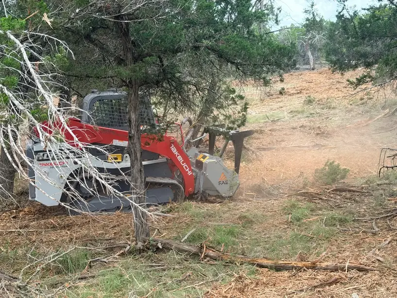 Forestry mulcher grinding cedar between trunks