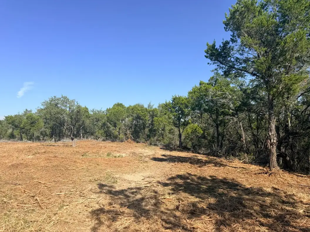Open mulched ground with a cedar treeline after forestry mulching near Fischer TX