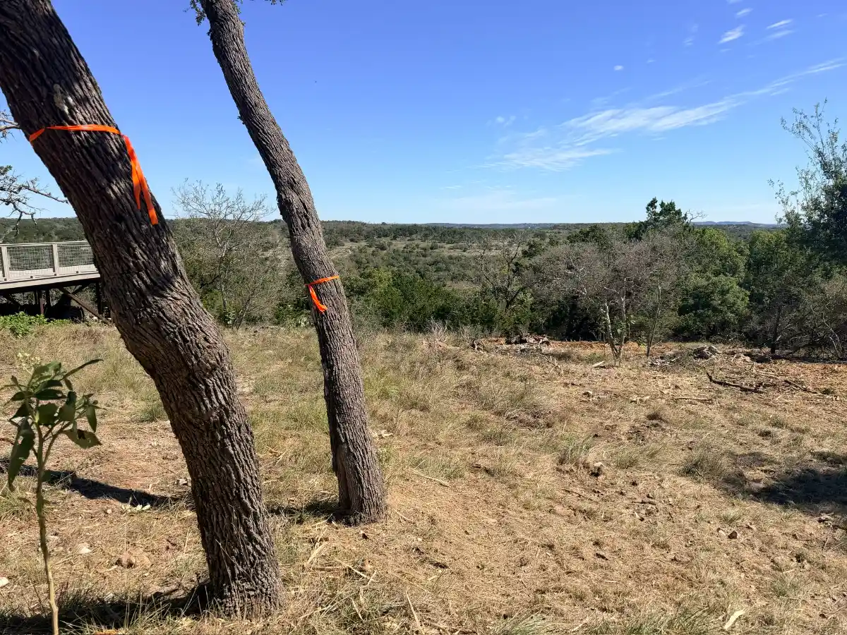 Cleared ground between oaks with a Hill Country view after wildfire mitigation near Fredericksburg TX