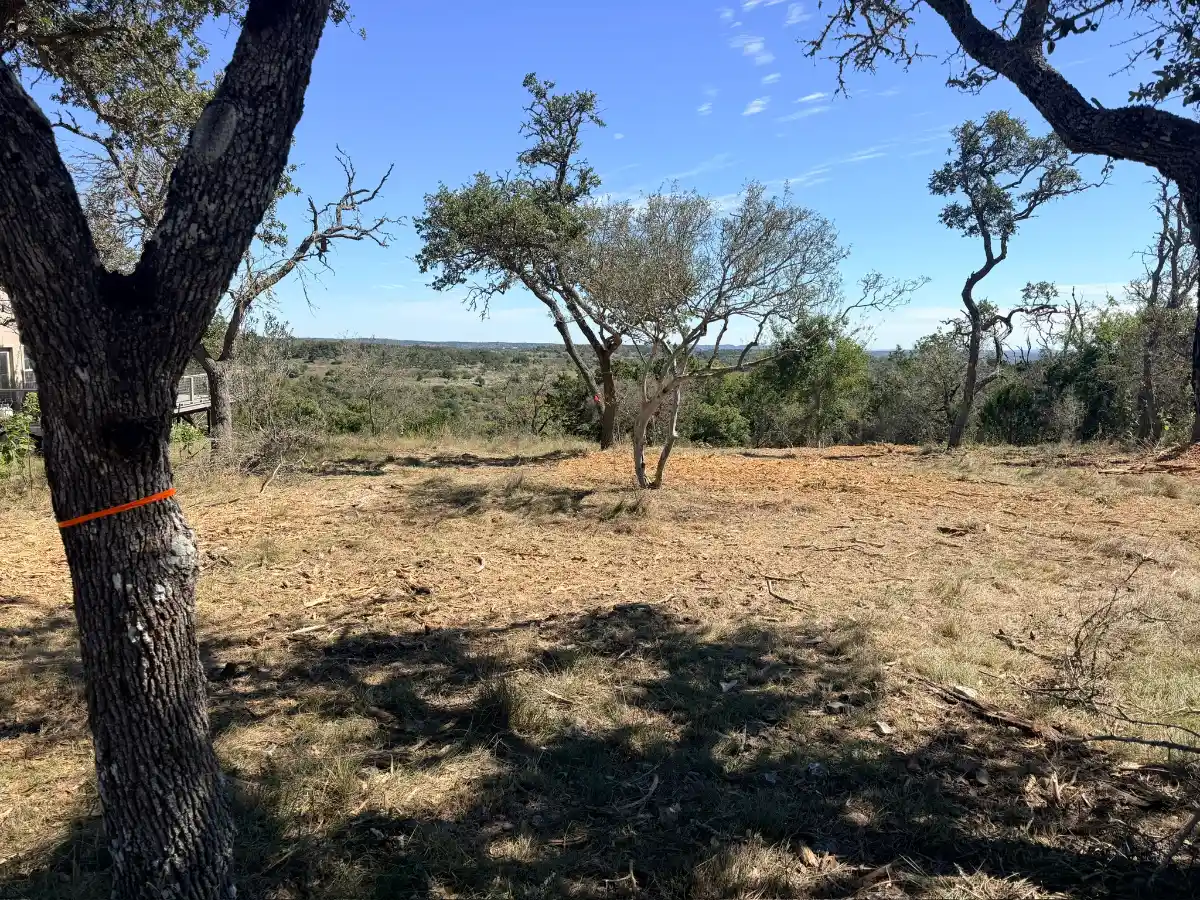 Open mulched ground under live oaks after wildfire mitigation near Fredericksburg TX