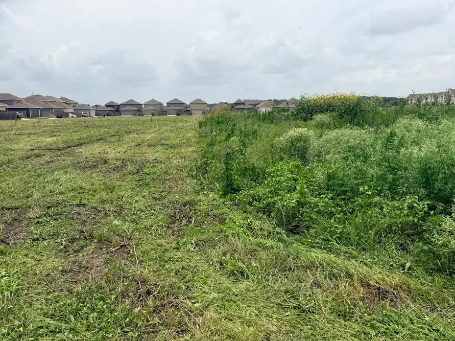Mowed strip next to standing tall grass on a flat tract in Hutto TX