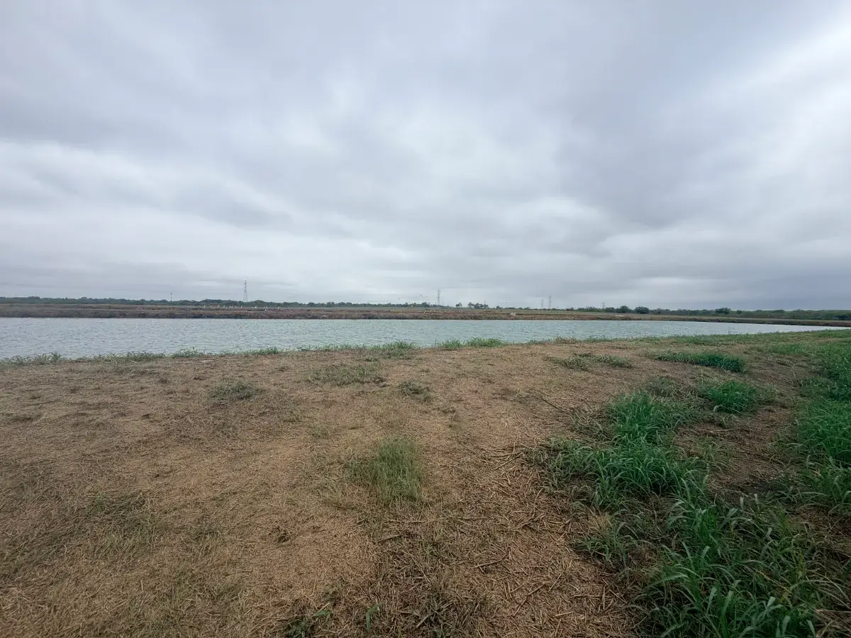 Cleared pond bank with open water beyond in Martindale TX