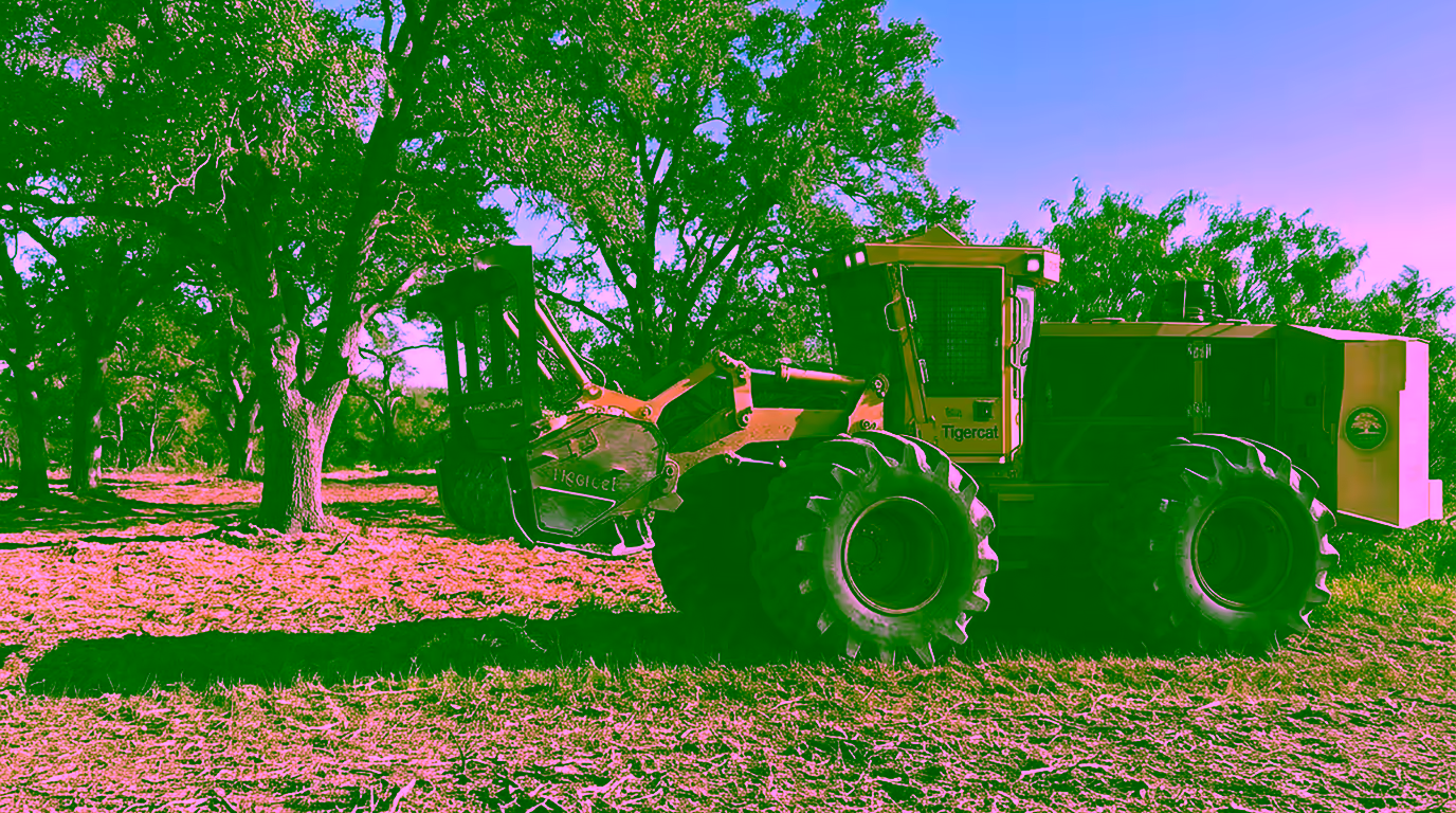 Tigercat mulcher clearing brush for a right-of-way in the Texas Hill Country