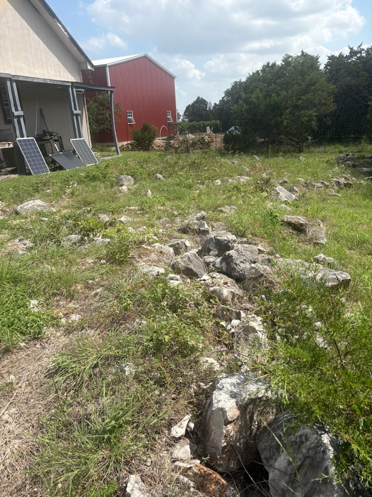Before — Loose Rock Across the Yard - San Antonio, TX