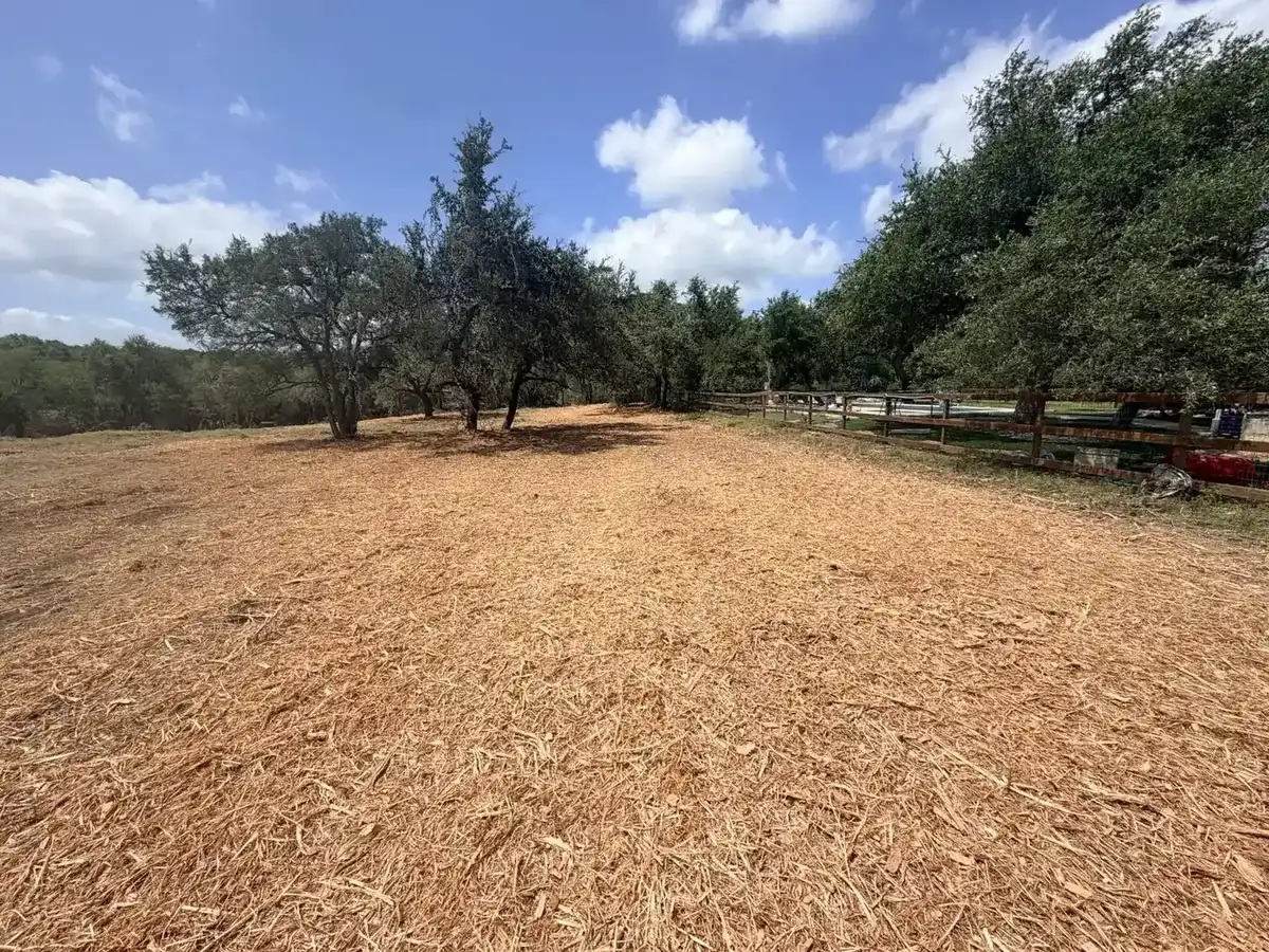Cedar Removal on a Texas Hill Country property — Clear Ashe juniper for water conservation and pasture reclamation.