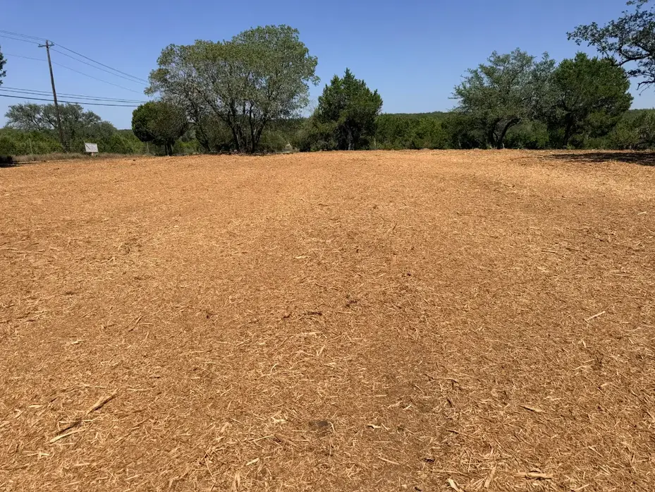 Wide cleared pasture with an oak motte