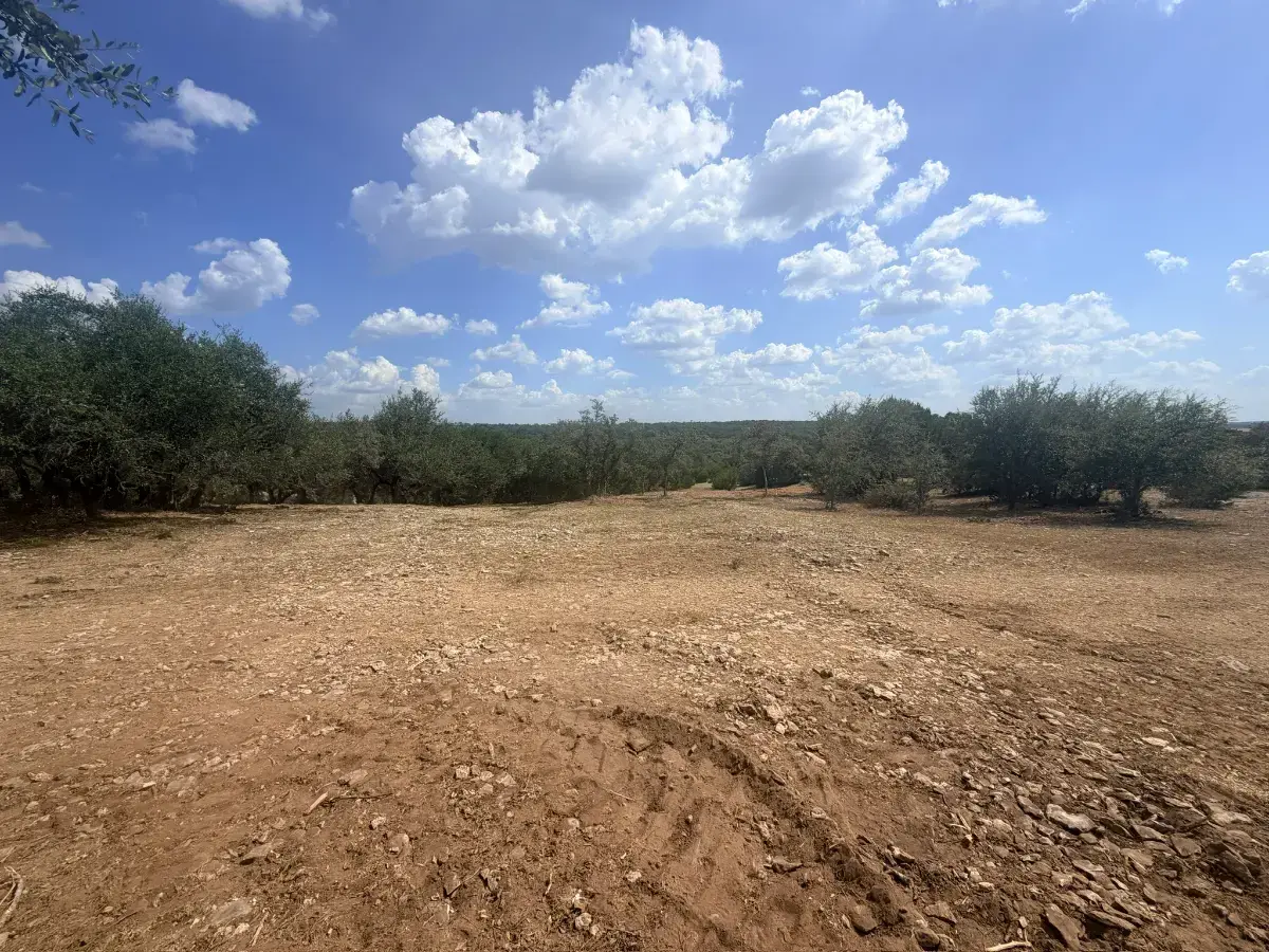 Open mulched ground with a brush line under clouds near Leon Valley, TX