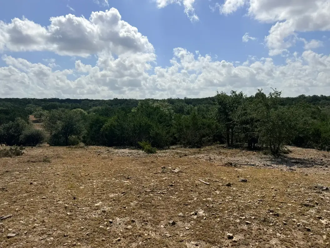 Cleared ground with a long treeline beyond