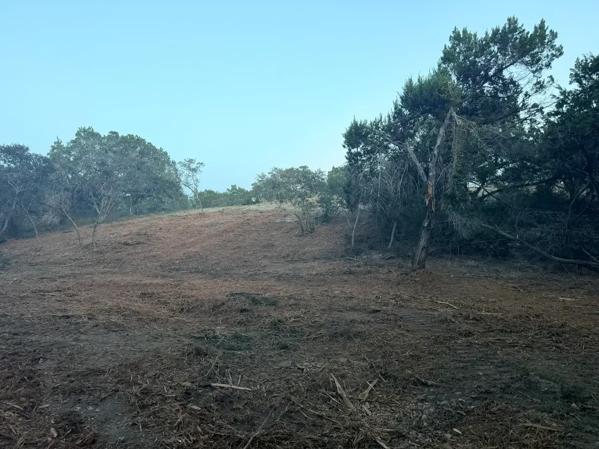 Mulched hillside with trees along the ridge