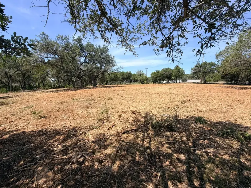Open mulched ground under trees