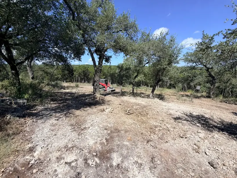 Smooth ground-down limestone under oaks after rock grinding